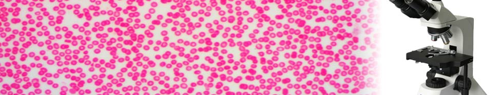 10余年專業(yè)服務(wù)經(jīng)驗(yàn)，1000多個(gè)VI設(shè)計(jì)案例。