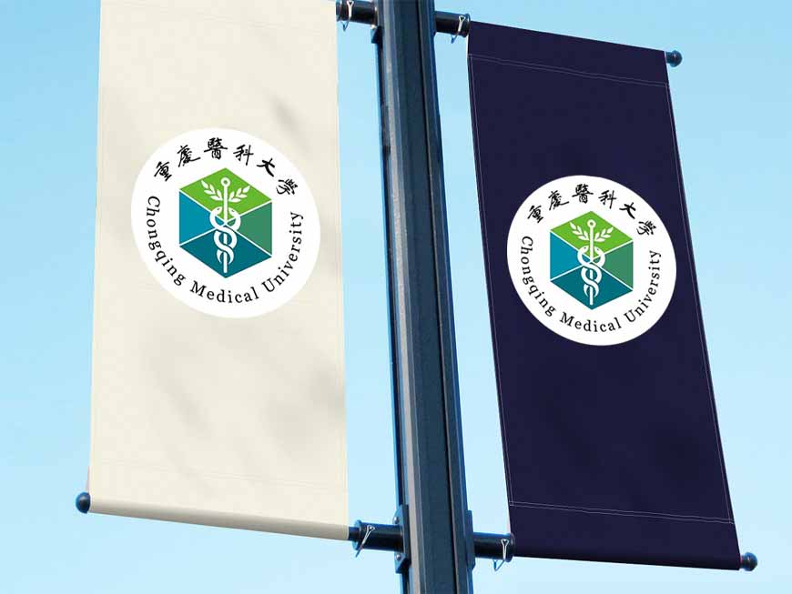 重慶醫科大學?；盏娜〉牢魇斤L格之路-2