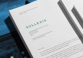 天津斯奈爾電子商務公司LOGO設(shè)計